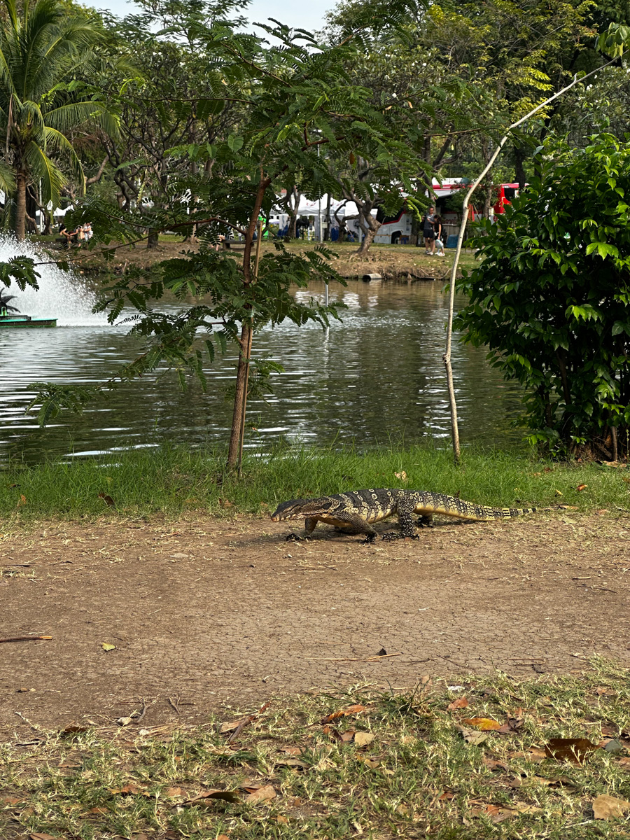 Lumpini Park bangkok